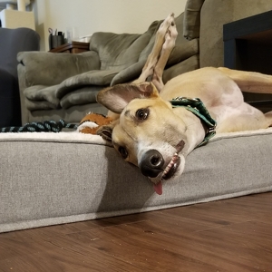 Fundraising Page: Andrew Cramer